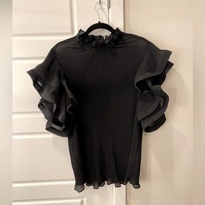 Sheer ruffle sleeved top 4x